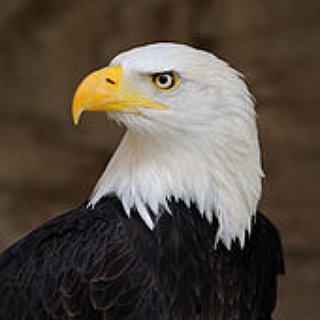 BucketList + Fly To Usa