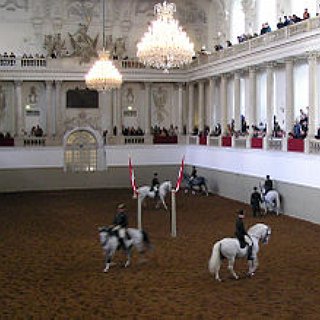 BucketList + Visit Vienna And The Lipizzaner Spanish Horse School
