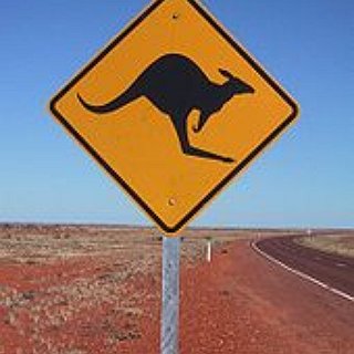 BucketList + See A Kangaroo In Australia