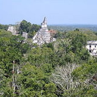 BucketList + Climb Atop Of In Tikal Guatemala