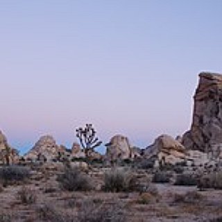 BucketList + Go Camping And Stargazing In Joshua Tree Np