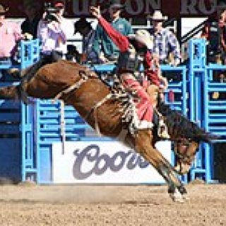 BucketList + Go To Cowboy Bbq In Yellowstone