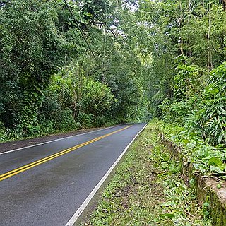 BucketList + Drive Road To Hana Hawaii