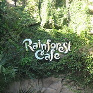 BucketList + Eat At Rainforest Cafe (Texas) 