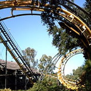 BucketList + Visit Busch Gardens (Florida)