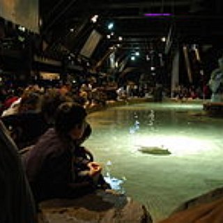 BucketList + Visit The Largest Aqurium In The World