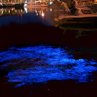 BucketList + Sea Sparkle In Tasmania
