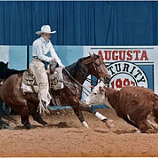 BucketList + Visit Dolly Parton's Stampede In Gatlinburg, Tn
