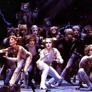 BucketList + Take My Wife To A Professional Stage Production Of "Cats", You Know, The Musical.