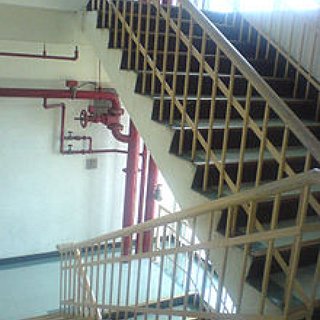 BucketList + Sled Down Stairs