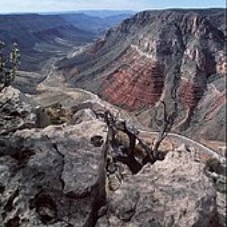 BucketList + Visit Grand Canyon-Parashant National Monument