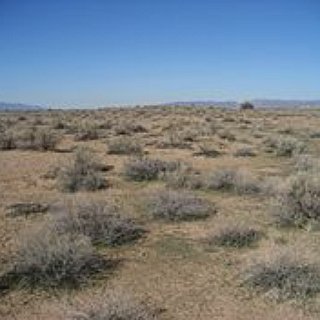 BucketList + Visit Hohokam Pima National Monument