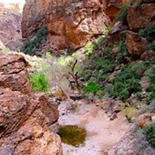 BucketList + Visit Tonto National Forest
