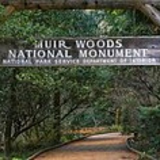 BucketList + Visit Muir Woods National Monument