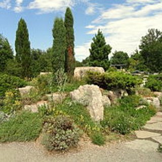 BucketList + Visit Denver Botanic Gardens