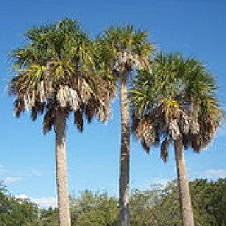 BucketList + Vacation In Florida
