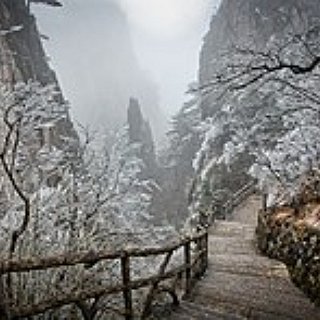 BucketList + See Yellow Mountains 