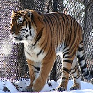 BucketList + Visit The Minnesota Zoo Together