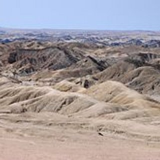 BucketList + Namib Desert Run