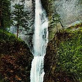 BucketList + See Multnomah Falls, Oregon