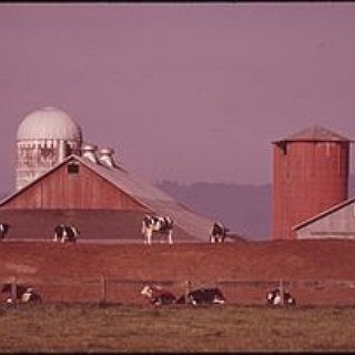 BucketList + Tour A Dairy Farm