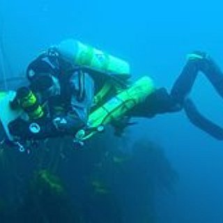 BucketList + Try Underwater Diving