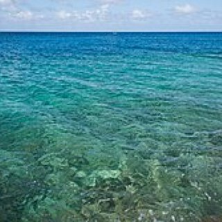 BucketList + Swim In: Maldives