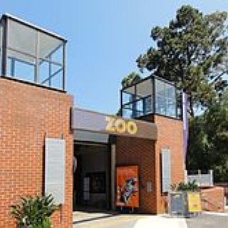 BucketList + Visit Melbourne Zoo