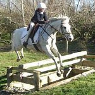 BucketList + Jump A Horse 