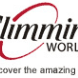 BucketList + Become A Slimming World Consultant 