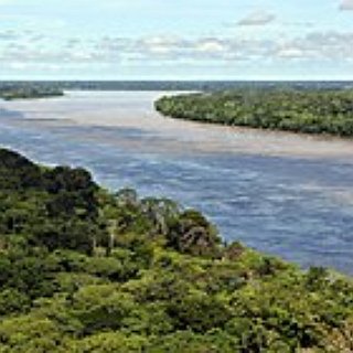 BucketList + Visit The Amazon Rain Forest
