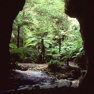BucketList + Glowworm Cave 