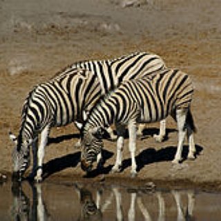 BucketList + Visit Namibia