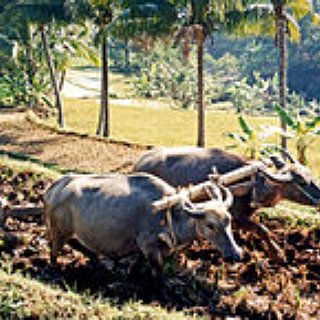 BucketList + Investing In Farming..