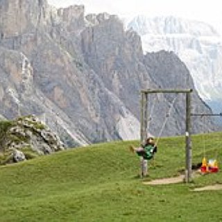 BucketList + Go To New Zeland ( Rope Swinging)