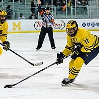 BucketList + Attend Ice Hockey Match In Slovakia