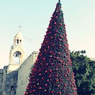 BucketList + Host A Family Christmas Party