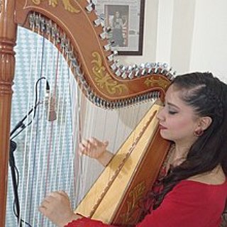 BucketList + Become A Decent Harp Player