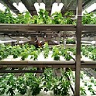 BucketList + Develop A Vertical Farm