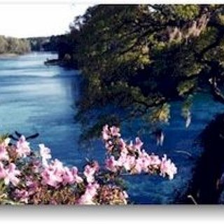 BucketList + Swim In The Rainbow River In Colombia (Caño Cristales)- South America