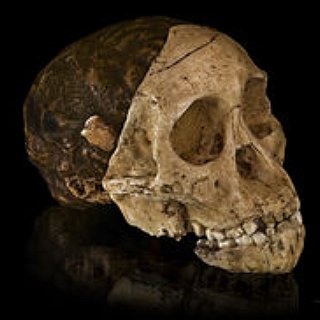 BucketList + Help At An Archaeology/Paleontology Dig