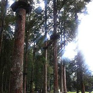 BucketList + Go To An Aerial Park
