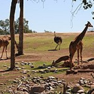 BucketList + Go To Phoenix Zoo