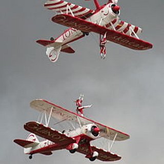 BucketList + Try Wing Walking