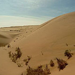 BucketList + Invent A Drill Car That Can Swim Through Sand So I Can Make Some Discoveries In The Gobi Desert 