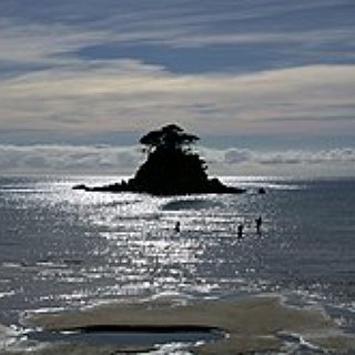 BucketList + Hike In New Zealand's Abel Tasman National Park