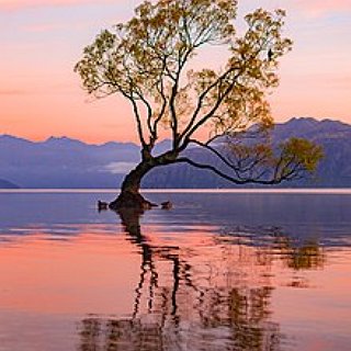 BucketList + See The Scenery Around Lake Wanaka, New Zealand