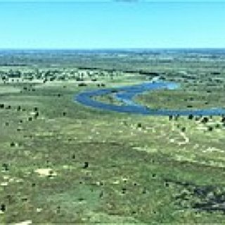 BucketList + See The Wildlife In Botswana's Okavango Delta