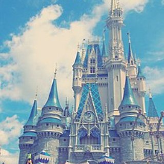 BucketList + Go To Disney World Florida