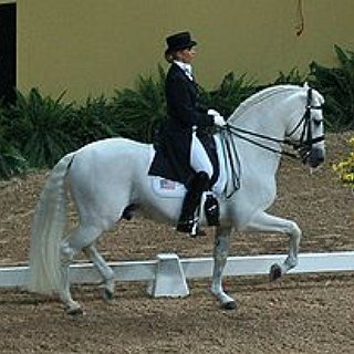 BucketList + Go To Olympia Horse Show